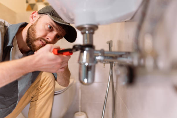 Best Clogged Drain Plumber  in Reinholds, PA